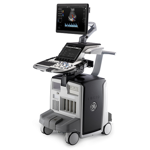GE Healthcare Logiq E10