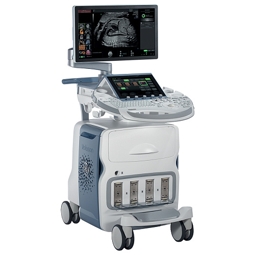 GE Healthcare Voluson E6