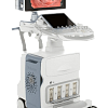 GE Healthcare Voluson E10