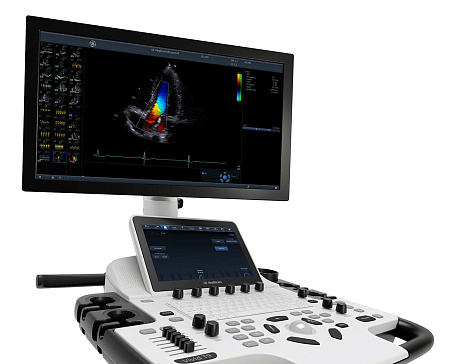 GE Healthcare Vivid T9