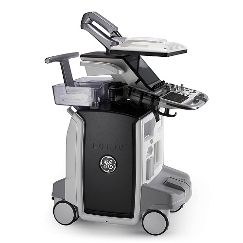 GE Healthcare Logiq E10