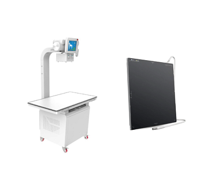 КОМПЛЕКТ Cтационарный ветеринарный рентген аппарат SCHWARZ SWZ-XRAY 20KW + Портативная DR-панель SCHWARZ SWZ-DR 17X17 (WIRED)