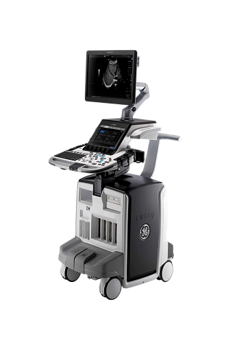 GE Healthcare Logiq E