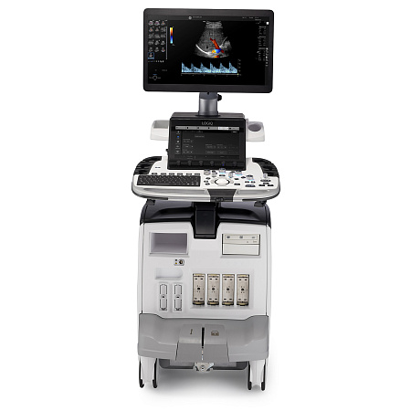 GE Healthcare Logiq E10